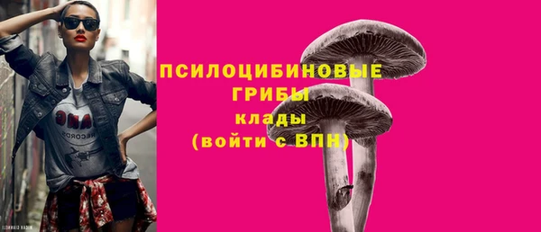 ГАЛЛЮЦИНОГЕННЫЕ ГРИБЫ Баксан