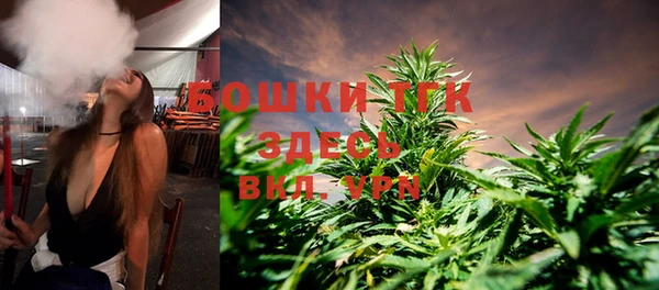 ГАЛЛЮЦИНОГЕННЫЕ ГРИБЫ Баксан