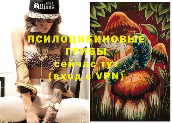ГАЛЛЮЦИНОГЕННЫЕ ГРИБЫ Баксан