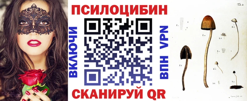 даркнет сайт Никольск Псилоцибиновые грибы ЛСД